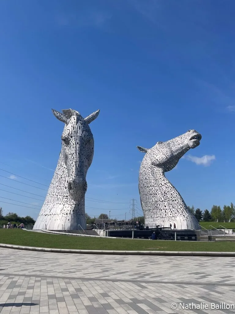 tete-chevaux-kelpies