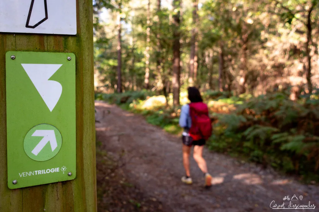 balisage-venntrilogie