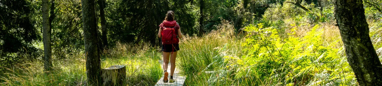 caillebotis-hautes-fagnes