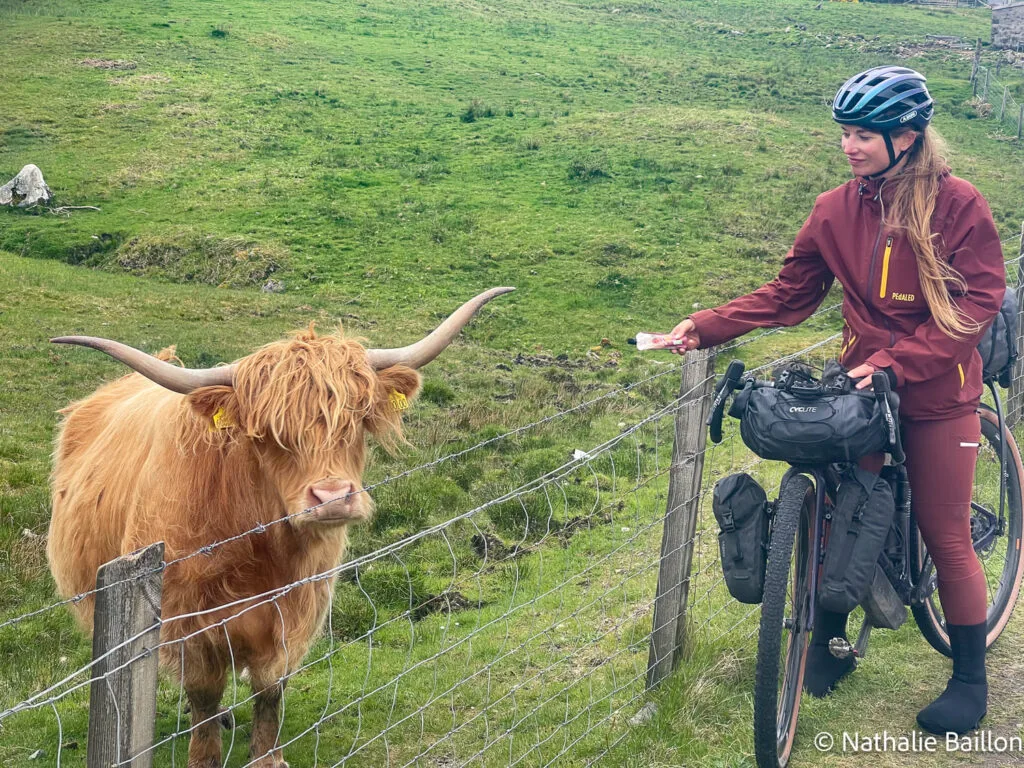 nathalie-vache-highland