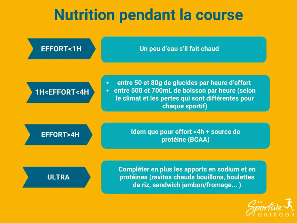 nutrition-pendant-course