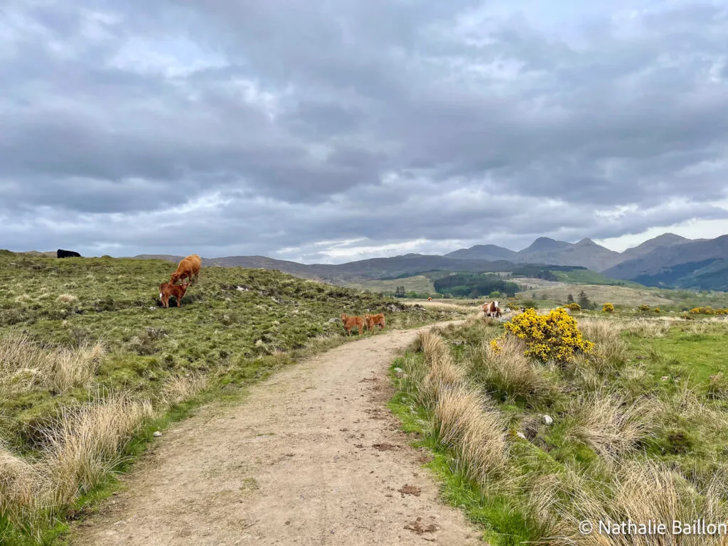 piste-dessus-strontian