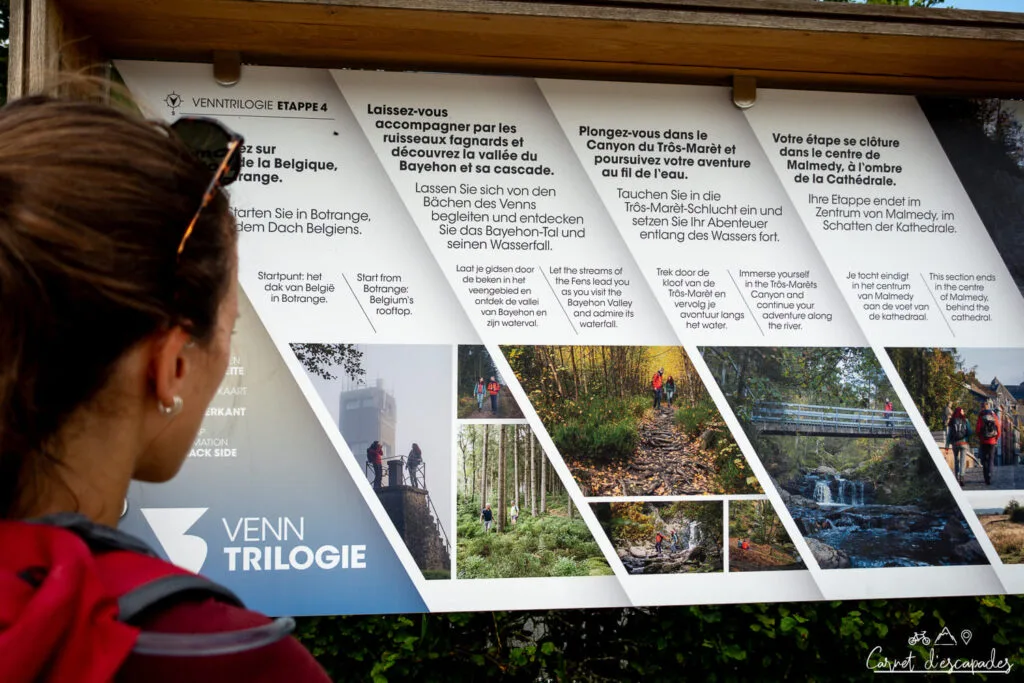 ventrilogy-beaconing