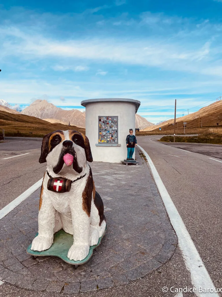 saint-bernard-statue