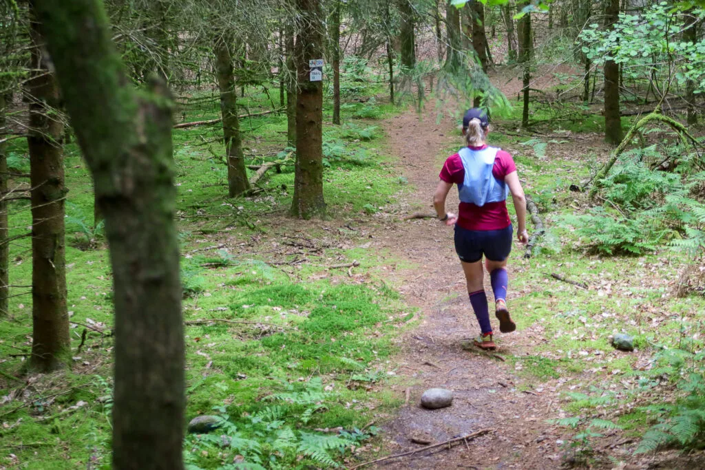 trail-foret-saint-nabord