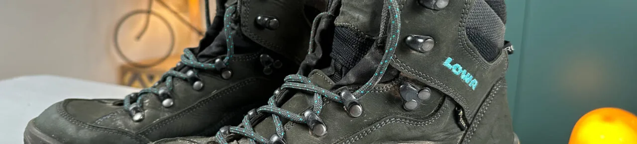 lowa-renegade-gtx-mid-ws