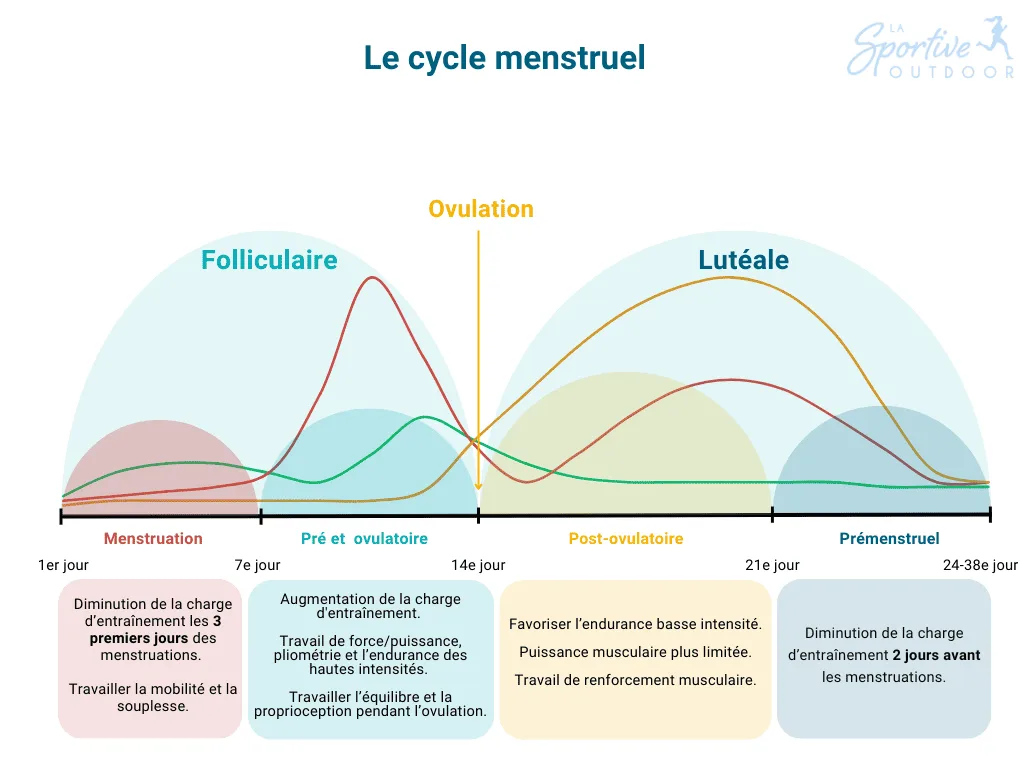 adapt-training-menstrual-cycle