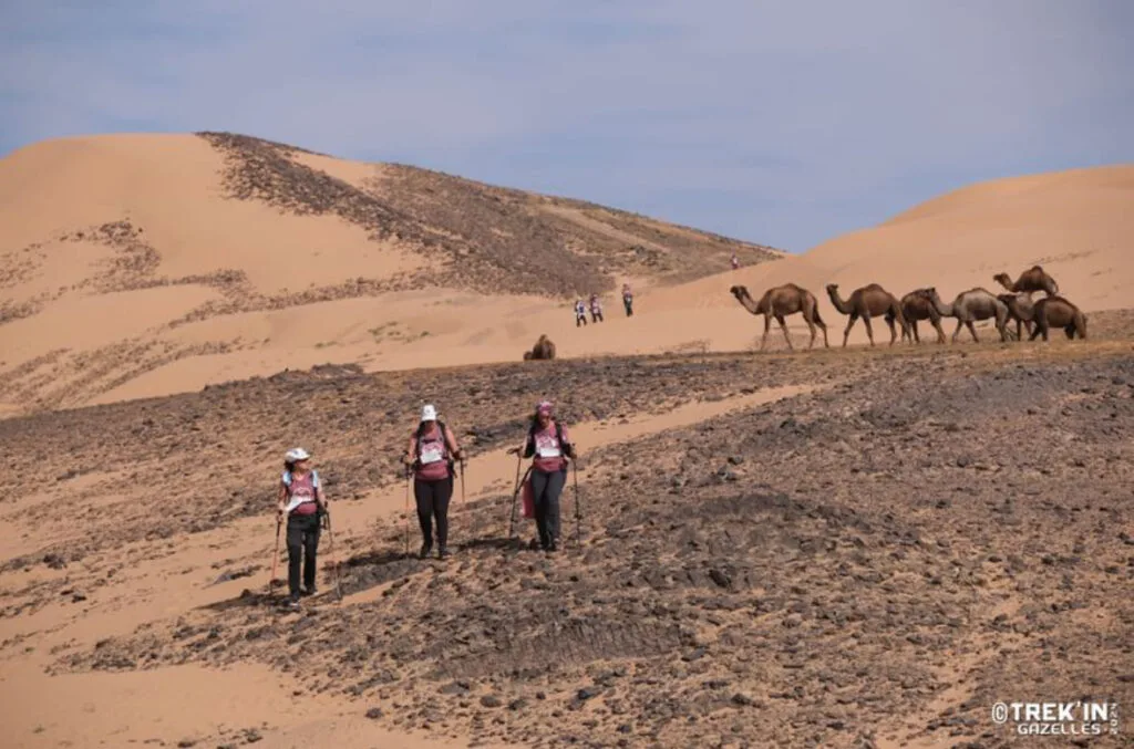 desert-maroc-trek-in-gazelles