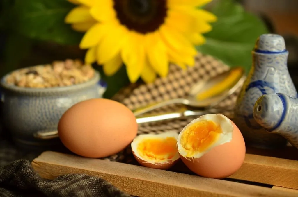oeufs