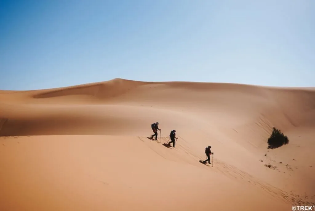 trekin-gazelles-maroc