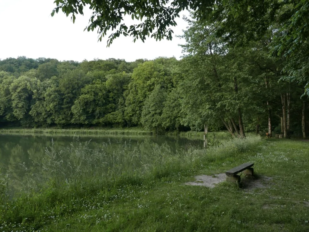 Chateau-de-courtanvaux-parc