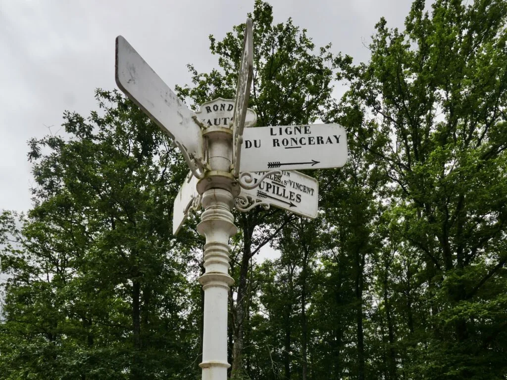 Forêt-de-bercé-1