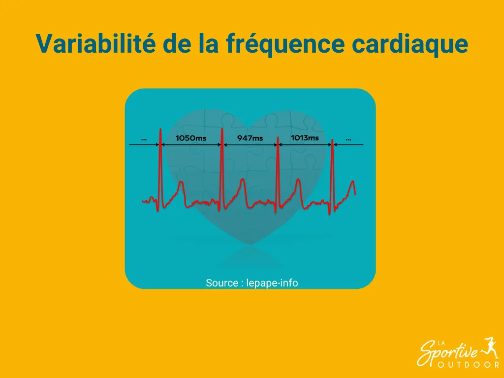 variabilite-frequence-cardiaque