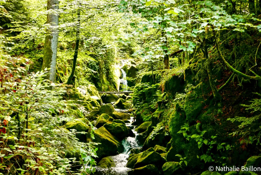 cascade-du-gehard