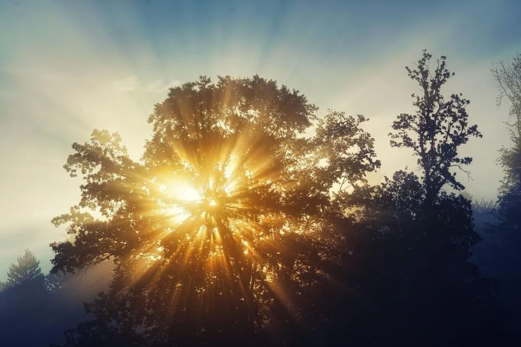 autumn-sun