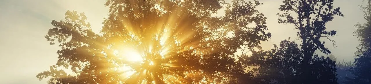 autumn-sun