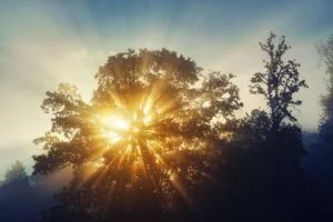 automne-soleil