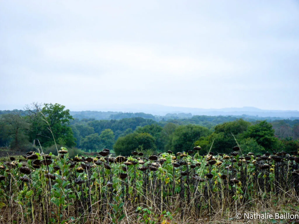 campagne-creuse