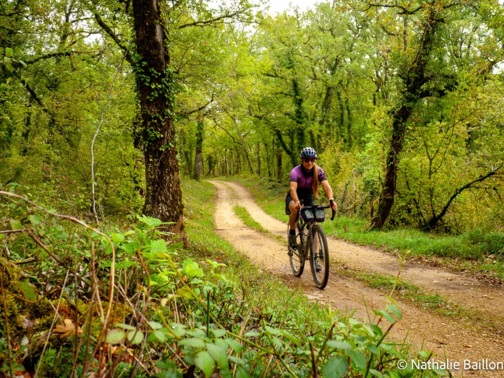 chemin-des-causses-cycliste-foret