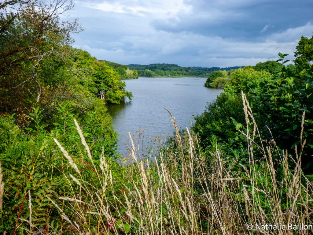 etang-de-toueille