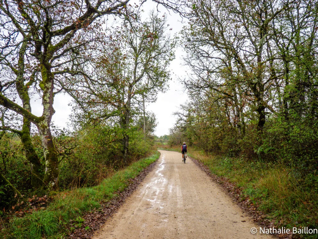 graviers-blancs-cycliste-en-foret