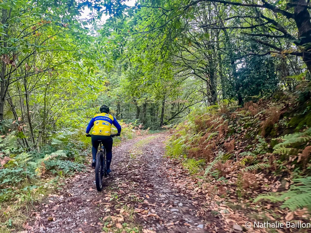vtt-foret