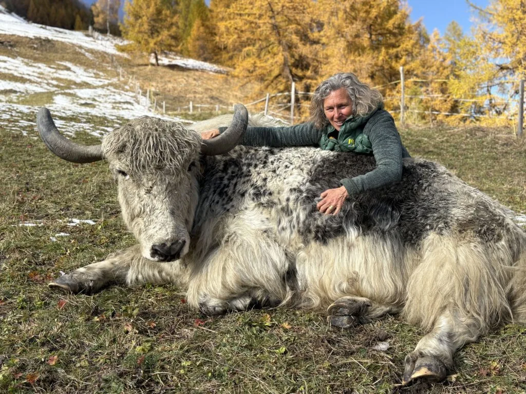 rosula-blanc-valais