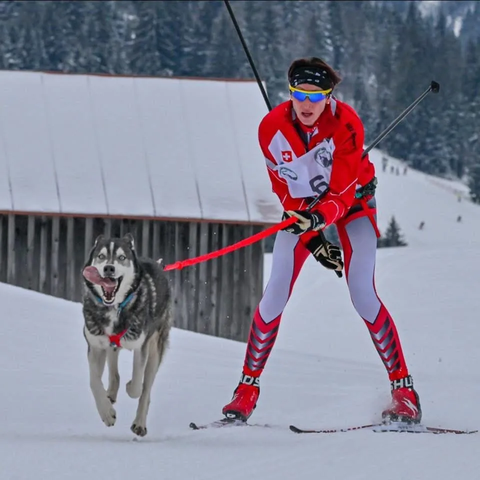 violaine-girard-grau-ski-joering