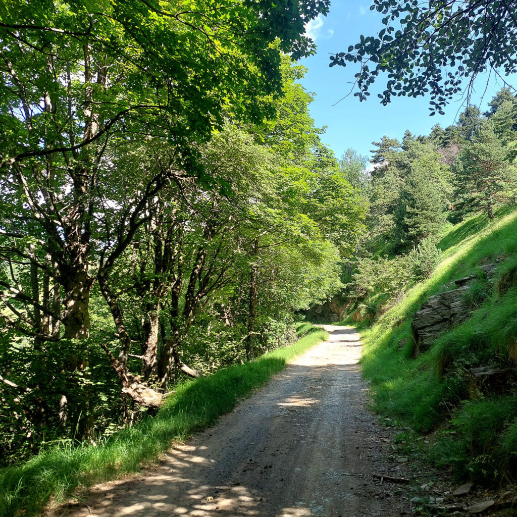 Montée vers baisse-de-Tueis